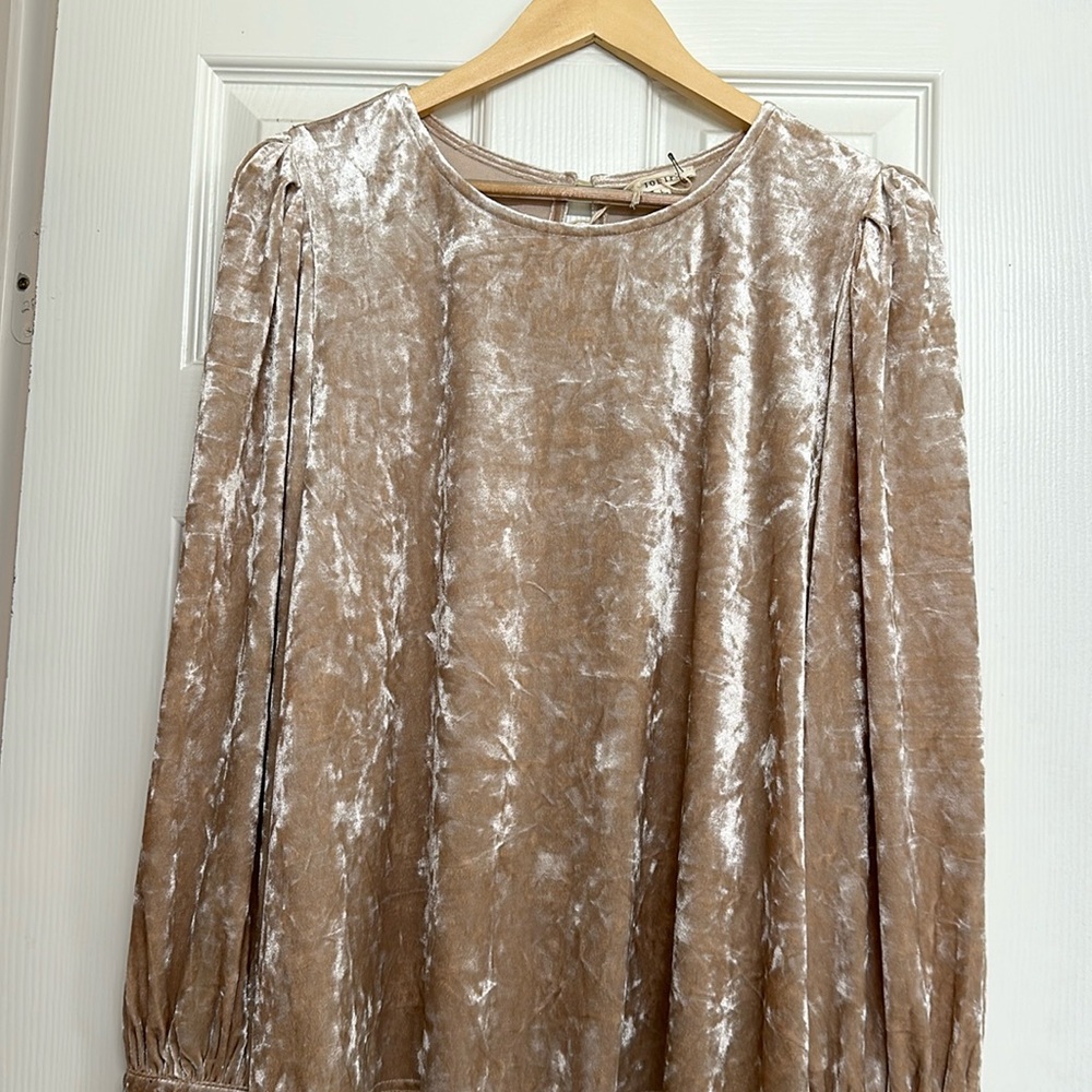NWT Champagne/Gold velvet Jodifl long sleeve top size large